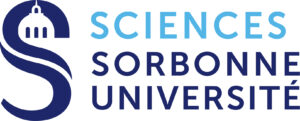 Logo SU FSI